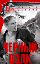 Книга - Никита Владимирович Серков - Черный волк - читать