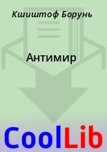Книга - Кшиштоф  Борунь - Антимир - читать