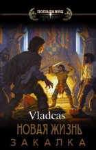 Книга -   Vladcas - Новая жизнь: Закалка (СИ) - читать