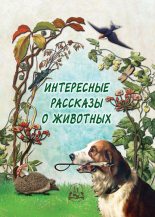 Книга - Н. П. Рудакова - Интересные рассказы о животных - читать