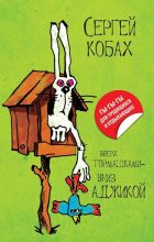 Книга - Сергей Львович Кобах - Вверх тормашками – вниз Аджикой - читать