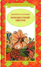 Книга - Андрей  Платонов - Разноцветная бабочка (легенда) - читать