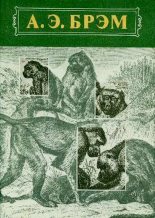 Книга - Альфред Эдмунд Брэм - Жизнь животных Том I Млекопитающие - читать