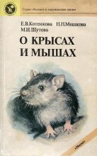 Книга - Елена Владимировна Котенкова - О крысах и мышах - читать