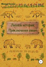 Книга - Михаил  Калугин - Лесные истории. Приключения лисят - читать