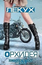 Книга - Дмитрий Валерьянович Лекух - Орхидея в мотоциклетном шлеме (сборник) - читать