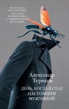 Книга - Александр Михайлович Терехов - День, когда я стал настоящим мужчиной (сборник) - читать