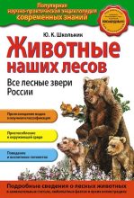 Книга - Юлия Константиновна Школьник - Животные наших лесов. Все лесные звери России - читать