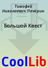 Книга - Тимофей Николаевич Печёрин - Большой Квест - читать