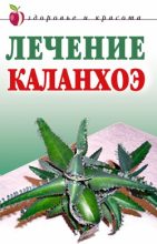 Книга - Анна Вячеславовна Мельник - Лечение каланхоэ - читать