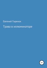 Книга - Евгений  Гиренок - Трава в иллюминаторе - читать