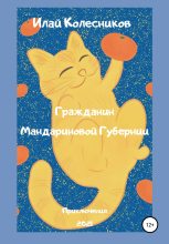 Книга - Илай  Колесников - Гражданин Мандариновой Губернии - читать