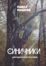 Книга - Павел Алексеевич Пашков - Синичники - читать