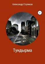 Книга - Александр Геннадьевич Стуликов - Тундырма - читать