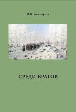 Книга - Василий Петрович Авенариус - Среди врагов - читать