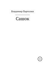 Книга - Владимир Иванович Партолин - Сашок - читать
