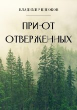 Книга - Владимир  Шнюков - Приют отверженных - читать