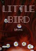 Книга - S.  Jeans - Little Bird - читать