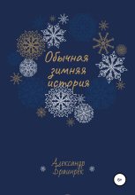 Книга - Александр  Браинрек - Обычная зимняя история - читать