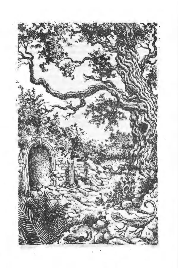 Ян Бжехва - Академия пана Кляксы - Страница № 60