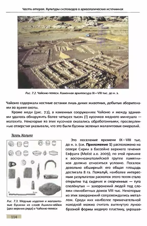 Е Черных - Культуры номадов в мегаструктуре Евразийского мира. Том 1 - Страница № 113