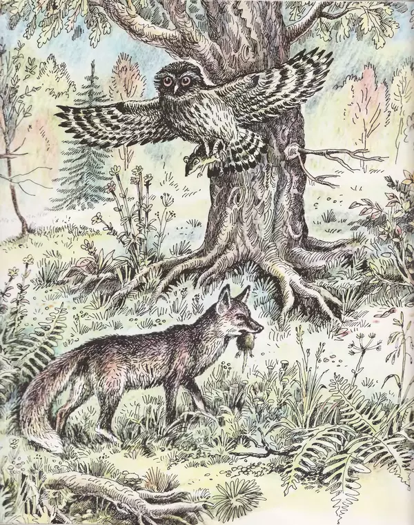 Виталий Танасийчук - Экология в картинках - Страница № 17