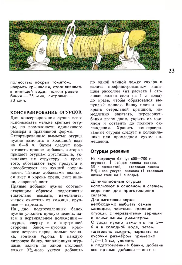 Лидия Ляховская - Молодой семье о кулинарии - Страница № 23