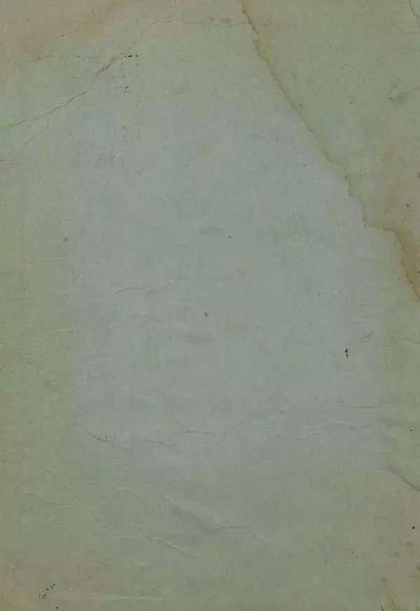 Дмитрий Нагишкин - Храбрый Азмун - Страница № 2