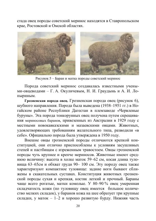 Надежда Куликова - Овцеводство и козоводство. Учебно-методическое пособие - Страница № 20