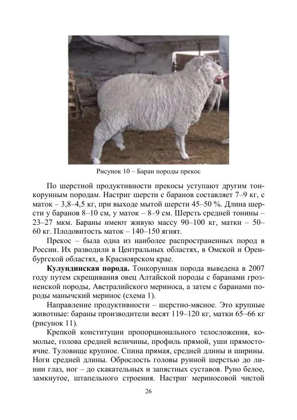 Надежда Куликова - Овцеводство и козоводство. Учебно-методическое пособие - Страница № 26