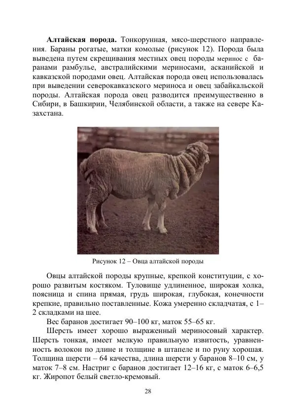 Надежда Куликова - Овцеводство и козоводство. Учебно-методическое пособие - Страница № 28