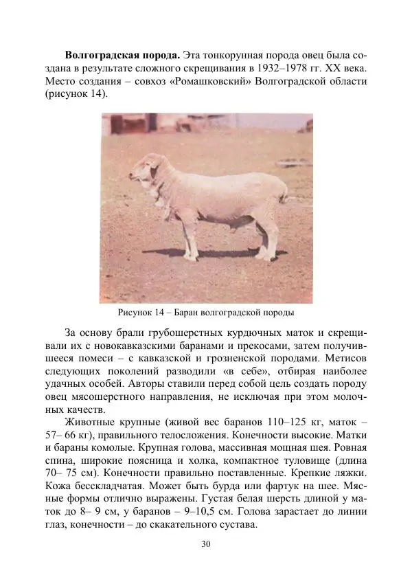Надежда Куликова - Овцеводство и козоводство. Учебно-методическое пособие - Страница № 30
