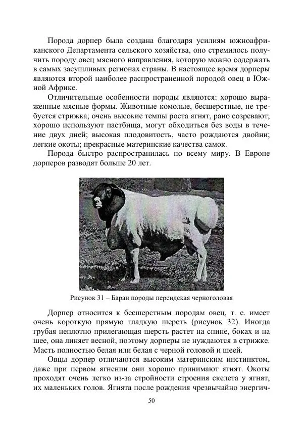 Надежда Куликова - Овцеводство и козоводство. Учебно-методическое пособие - Страница № 50