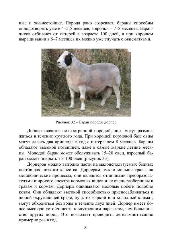 Надежда Куликова - Овцеводство и козоводство. Учебно-методическое пособие - Страница № 51