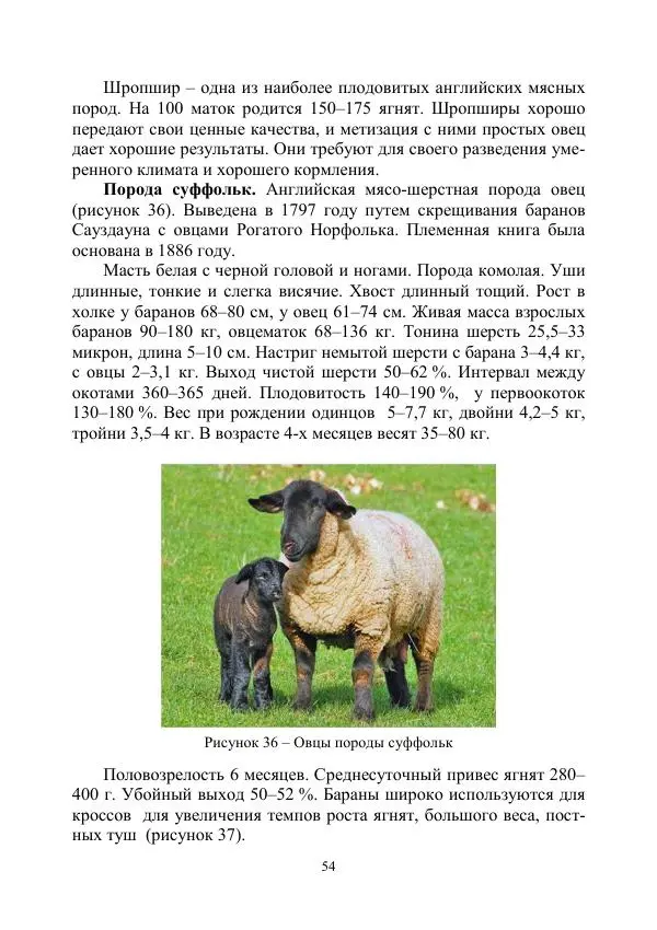 Надежда Куликова - Овцеводство и козоводство. Учебно-методическое пособие - Страница № 54