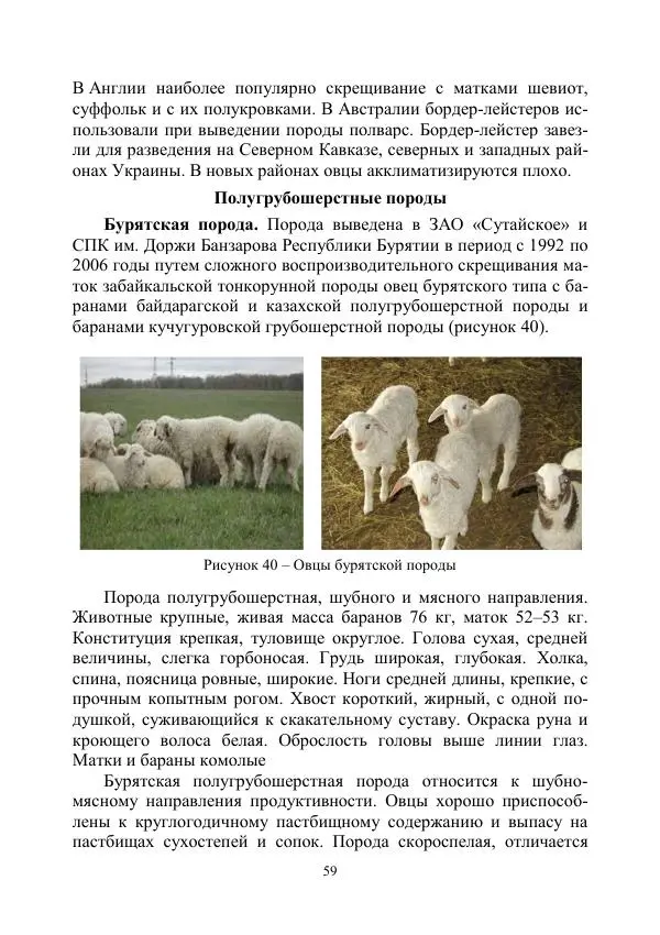 Надежда Куликова - Овцеводство и козоводство. Учебно-методическое пособие - Страница № 59