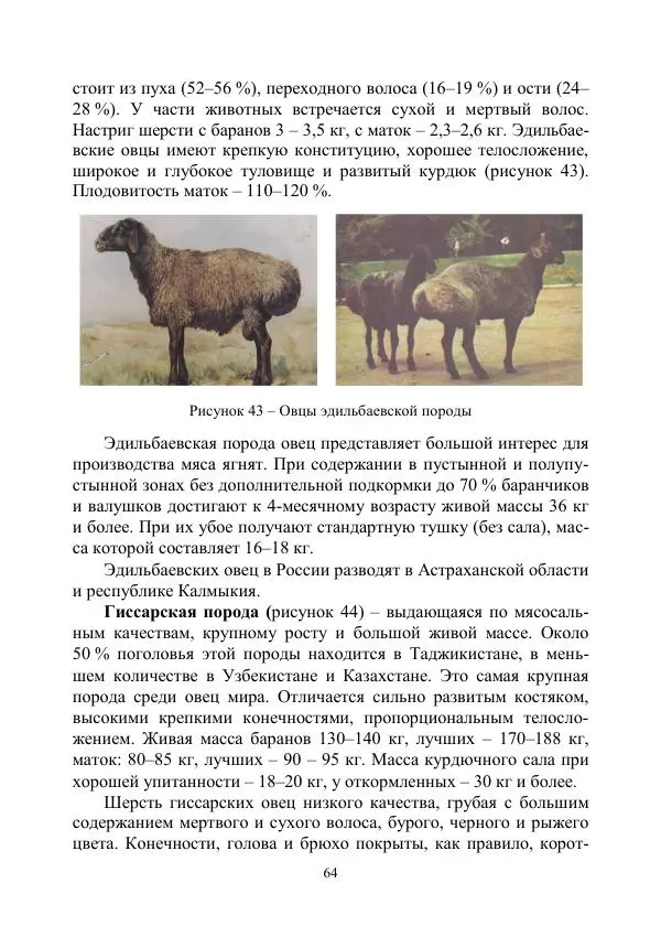 Надежда Куликова - Овцеводство и козоводство. Учебно-методическое пособие - Страница № 64