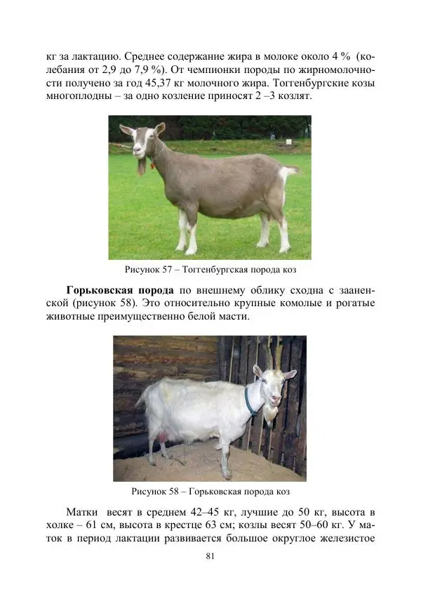 Надежда Куликова - Овцеводство и козоводство. Учебно-методическое пособие - Страница № 81