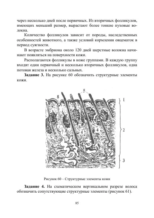 Надежда Куликова - Овцеводство и козоводство. Учебно-методическое пособие - Страница № 85