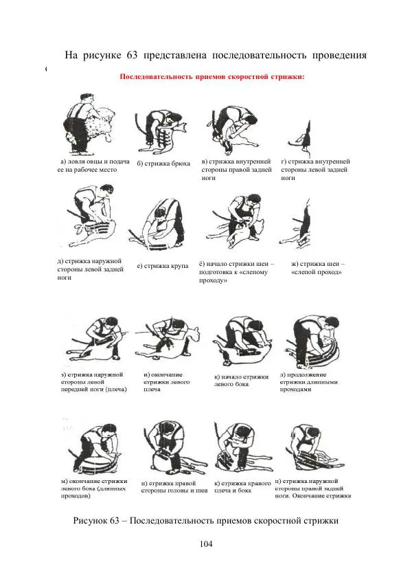 Надежда Куликова - Овцеводство и козоводство. Учебно-методическое пособие - Страница № 104