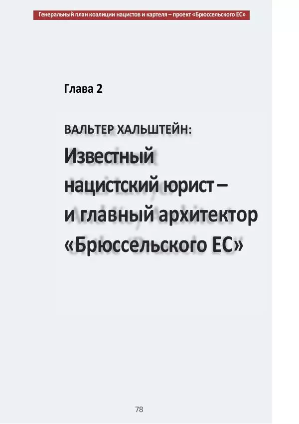 Матиас Рат - Нацистские корни «Брюссельского ЕС» - Страница № 78