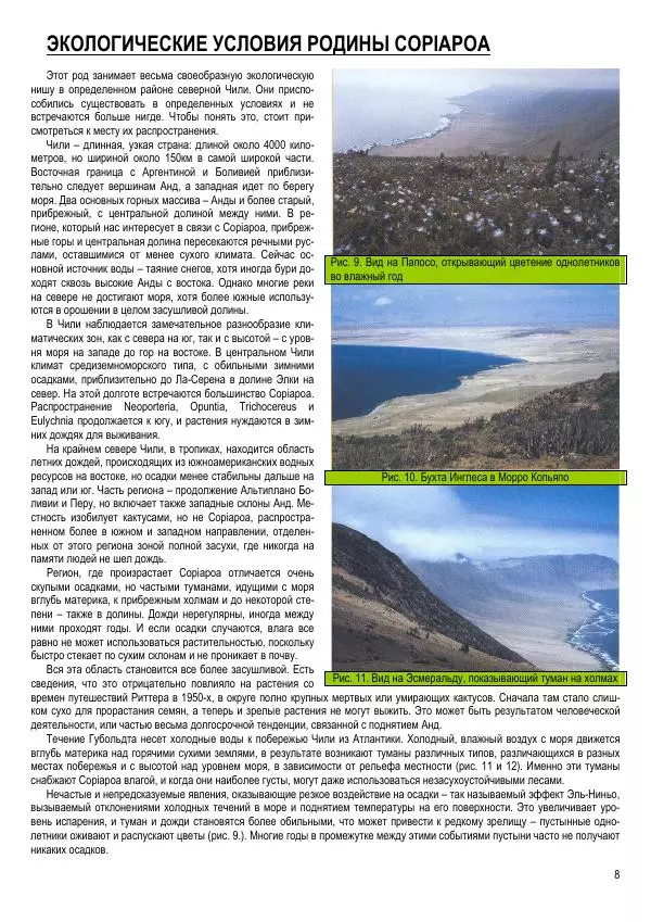 Грэм Чарльз - Копьяпоа — Copiapoa - Страница № 8 Грэм Чарльз - Копьяпоа — Copiapoa - Страница № 8