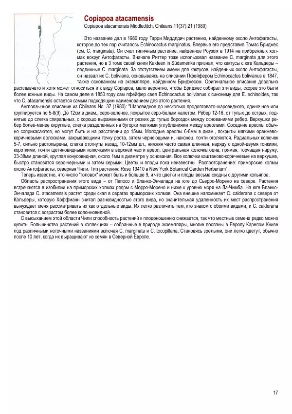 Грэм Чарльз - Копьяпоа — Copiapoa - Страница № 17 Грэм Чарльз - Копьяпоа — Copiapoa - Страница № 17