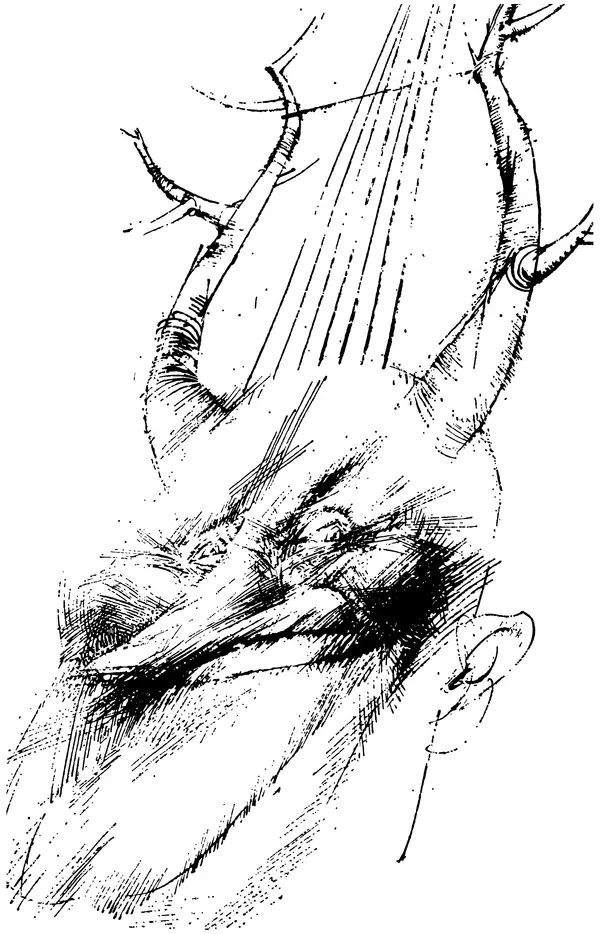 Александр Иванов - Пегас — не роскошь: Литературные пародии - Страница № 12