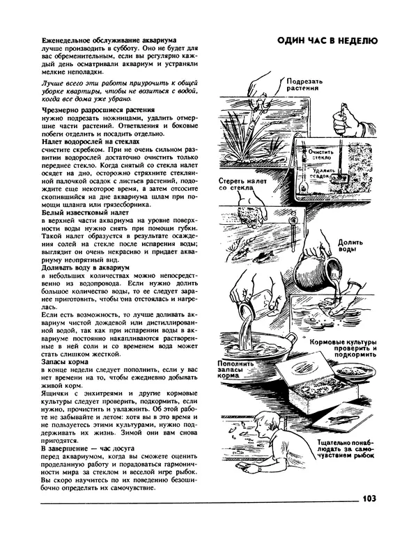 Ганс Фрей - Твой аквариум - Страница № 104