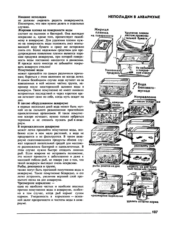 Ганс Фрей - Твой аквариум - Страница № 108