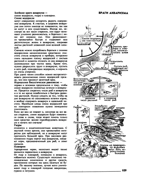 Ганс Фрей - Твой аквариум - Страница № 110