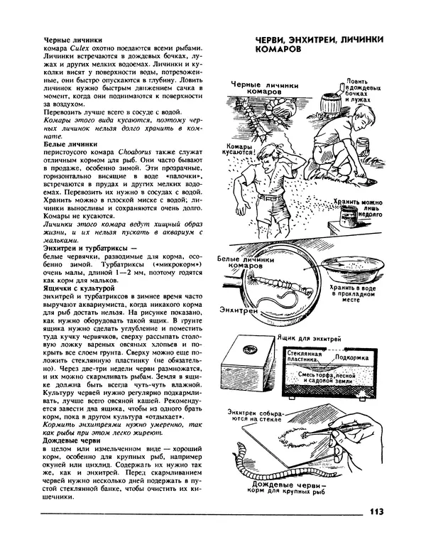 Ганс Фрей - Твой аквариум - Страница № 114