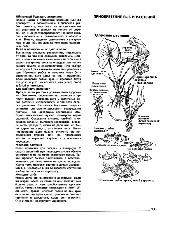 Ганс Фрей - Твой аквариум - Страница № 14