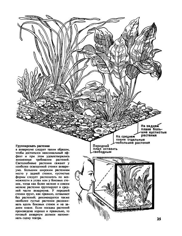 Ганс Фрей - Твой аквариум - Страница № 26